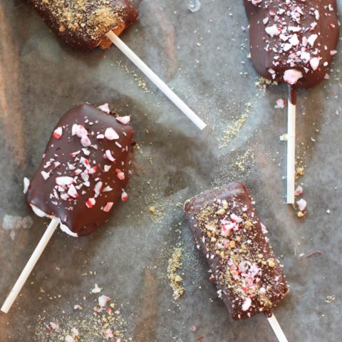 Chocolate Covered S'mores Pops