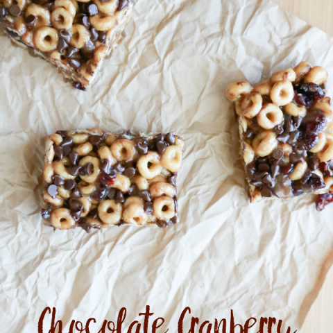 Chocolate Cranberry Cereal Bars
