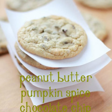 Peanut Butter Pumpkin Spice Chocolate Chip Cookies