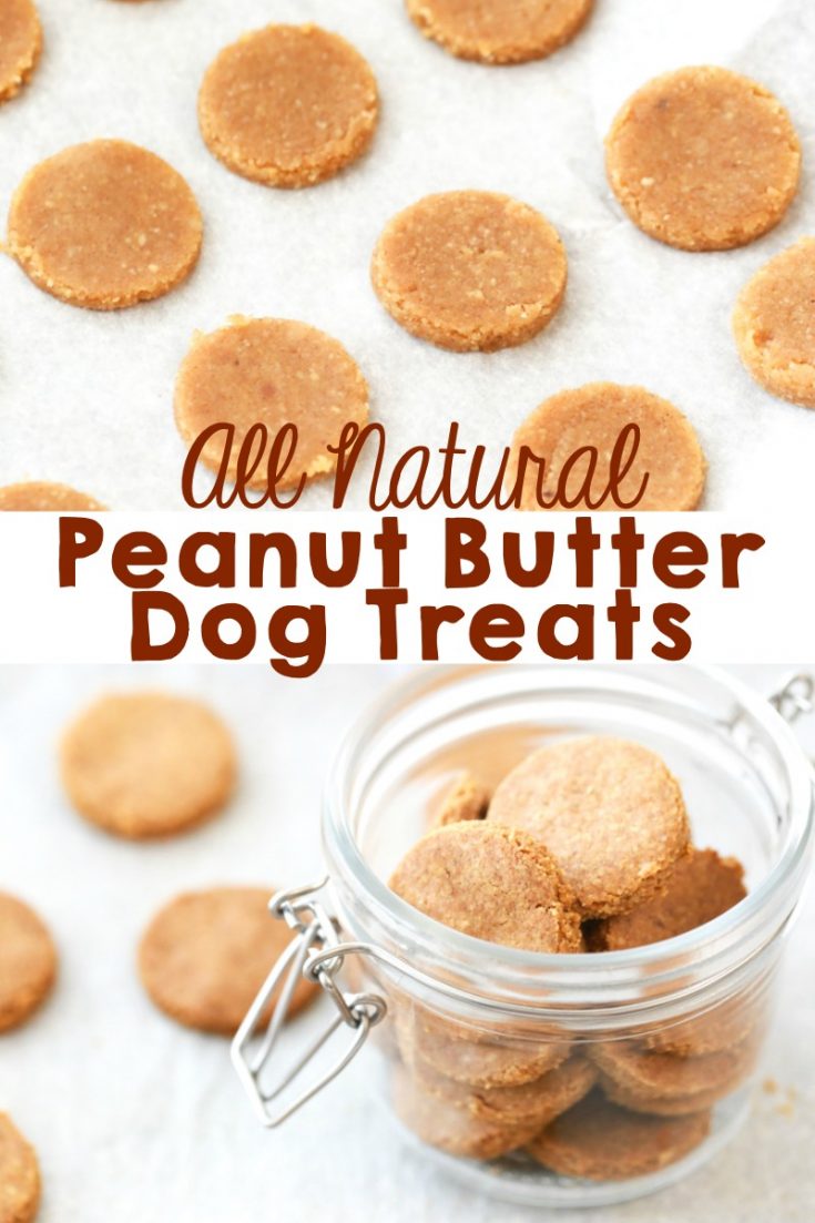 Peanut Butter Dog Treats | Homemade Dog Treats | Simply Being Mommy