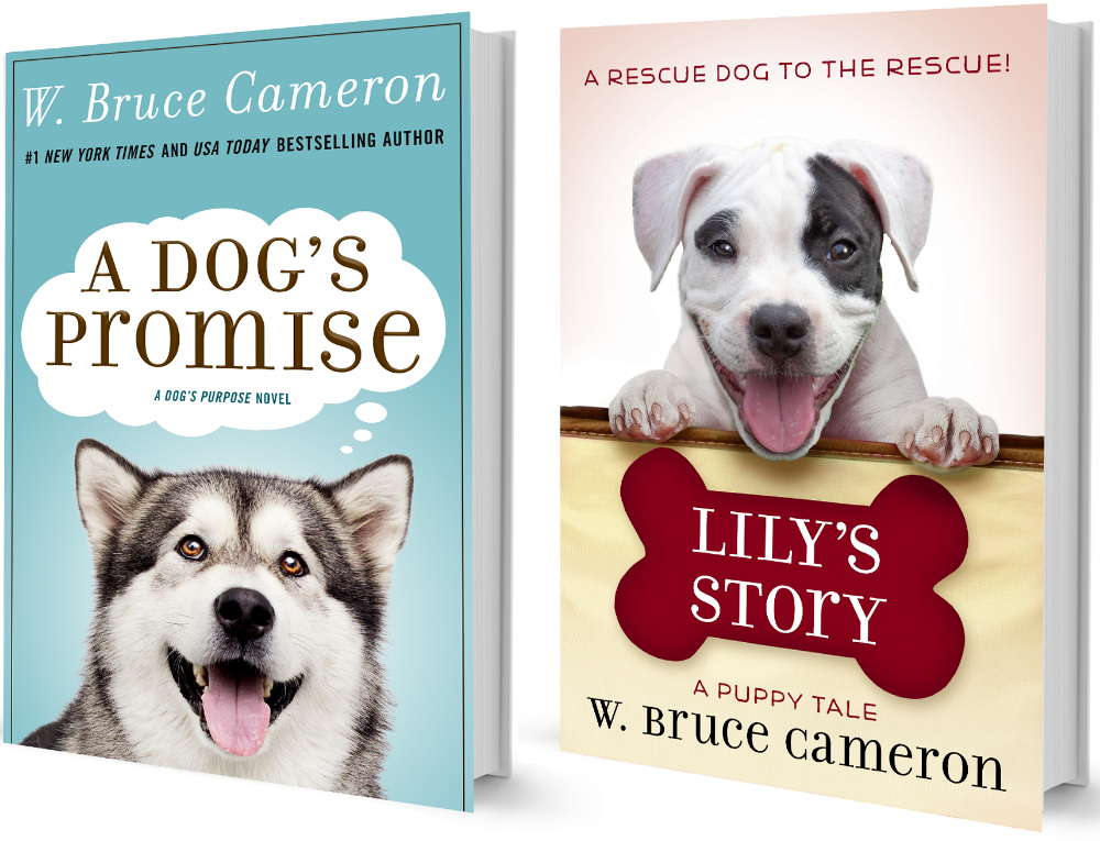 w. bruce cameron book releases